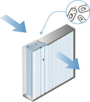 filtre air cartouche germe